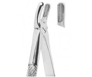 Extracting Forceps English pattern